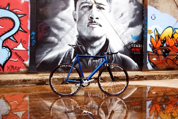 OSTRE KOŁO / SZOSA Foto